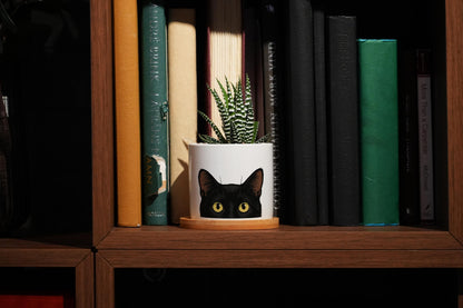 Black Cat Succulent Pot - 3" White Ceramic Pot - Black Cat Planter, Cat Lover Gift, Cat Ears, Cat Gifts, Cat mom, Peeking Cat, Witchy Gifts