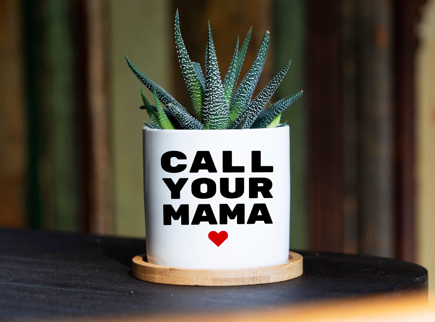 Call Your Mom Dorm Planter - 3" White Ceramic Pot - Dorm Decor Boho, Funny College Student Gift, Gift Idea For Her, Graduation Gift