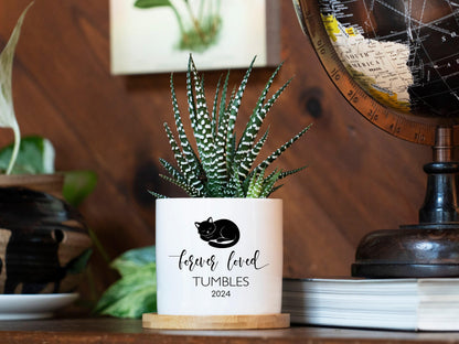 Personalized Cat Memorial Gift Planter - 3" White Pot - Cat Sympathy Gift, Cat Planter, Cat Loss Gifts, Cat Plant pot, Black Cat Memorial