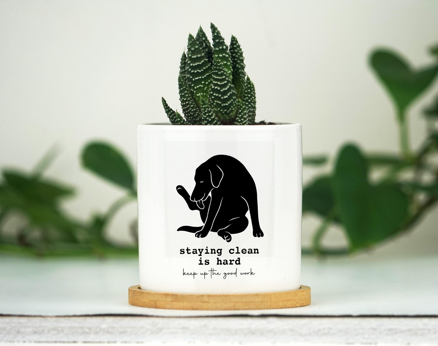 Sobriety gift - 3" White Pot w/ Tray - Custom Year - 1 year sobriety gift, Personalized Sobriety Gift for Men, Sobriety Gift for Women