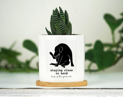 Sobriety gift - 3" White Pot w/ Tray - Custom Year - 1 year sobriety gift, Personalized Sobriety Gift for Men, Sobriety Gift for Women