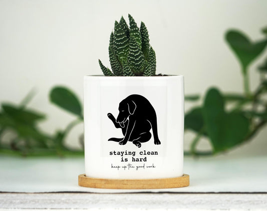 Sobriety gift - 3" White Pot w/ Tray - Custom Year - 1 year sobriety gift, Personalized Sobriety Gift for Men, Sobriety Gift for Women