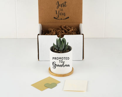 Grandma Baby Announcement Box - 3" White Ceramic Pot w/ Tray - Pregnancy Reveal to Grandma, Pregnancy Reveal Gift Box, Pregnancy gift box