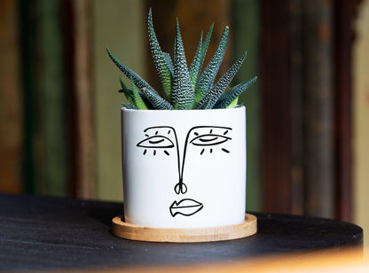 Face Planter - 3" White Ceramic Pot w/ Tray - Planter Decor, Unique planters, House Warming Gift box, New Home Basket - Head Planter