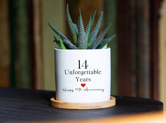 14th Anniversary Gift - 3" White Ceramic Pot, 14th anniversary gift, Wedding Anniversary, 14th Anniversary Gift for Him,Anniversary Gift Box