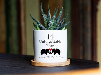 14th Anniversary Gift - 3" White Ceramic Pot, 14th anniversary gift, Wedding Anniversary, 14th Anniversary Gift for Him,Anniversary Gift Box