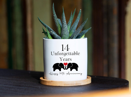14th Anniversary Gift - 3" White Ceramic Pot, 14th anniversary gift, Wedding Anniversary, 14th Anniversary Gift for Him,Anniversary Gift Box