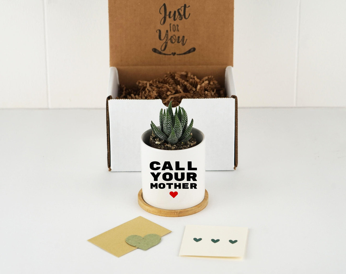 Call Your Mom Dorm Planter - 3" White Ceramic Pot - Dorm Decor Boho, Funny College Student Gift, Gift Idea For Her, Graduation Gift