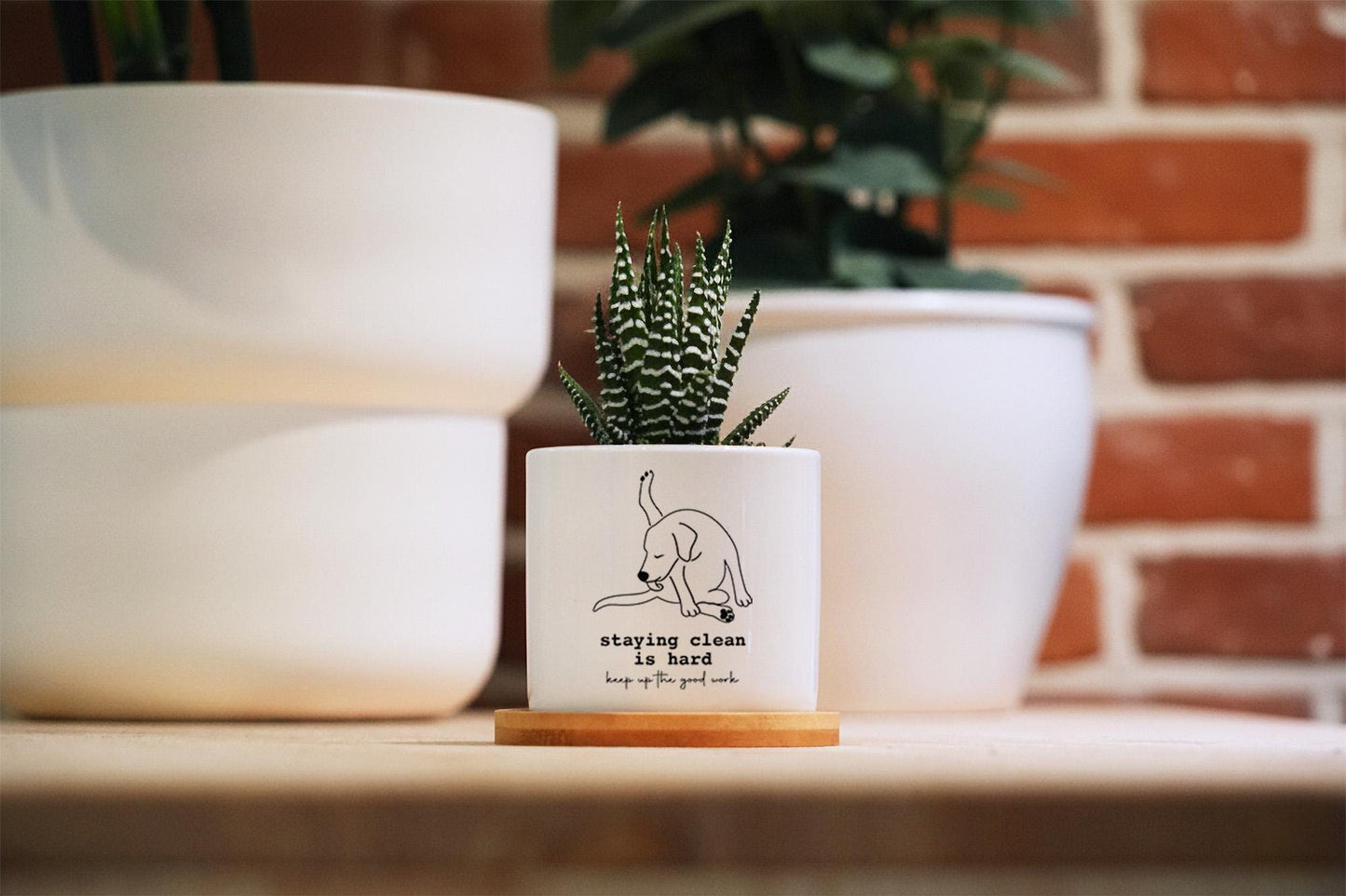 Sobriety gift - 3" White Pot w/ Tray - Custom Year - 1 year sobriety gift, Personalized Sobriety Gift for Men, Sobriety Gift for Women