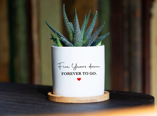5th Anniversary Gift - 3" White Ceramic Pot, Wedding Anniversary, Seventh Anniversary Gift Box, 5th anniversary Gift for Him